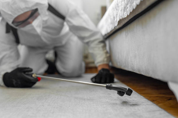 Professional Bed Bug Control technician working in Carroll County County, KY